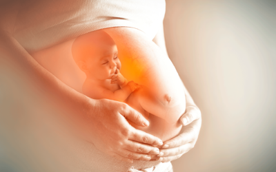 ¿Cómo oye el bebé en el vientre materno?